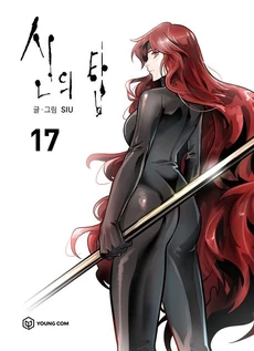 Cover of Book 17