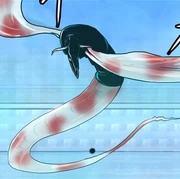 White Steel Eel-Profile