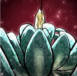 250?cb=20251108014848