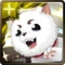 No. 10175 Sadaharu