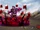KAMEN RIDER HOROBI ARK-SCORPION