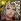 No. 2499 Gospel of Stars - Saint