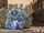 Alphonse Elric