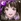 No. 10443 Red Carpet Debut - Rinrinko