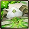 No. 10023 Arabis Messenger