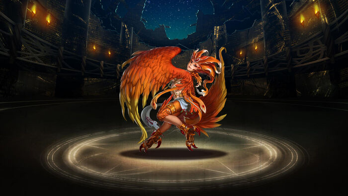 Pet335.jpg