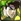 No. 10579 Joseph Joestar