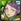 No. 10442 Popping Chorus - Air