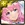 No. 10534 Dance of Pleasure - Megurine Luka