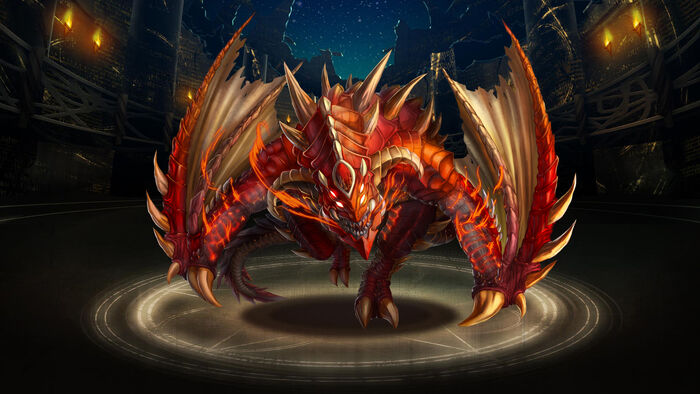 Pet312.jpg