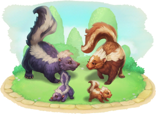 Skunk Family