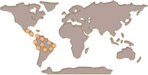 Tapir Map