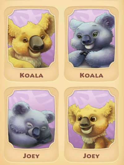 Koala Page