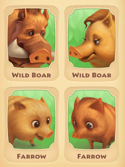 Wild Boar Page