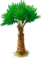 Date Palm 10 000 58