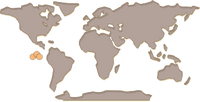 Tortoise Map