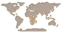 Rhinoceros Map