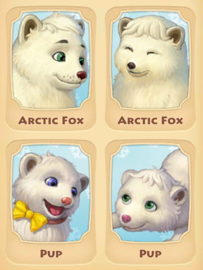 Arctic Fox Page