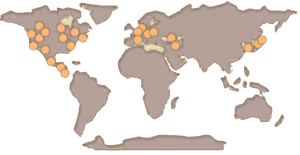 Raccoon Map.png