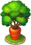 Carrot Tree