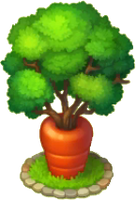 Carrot Tree