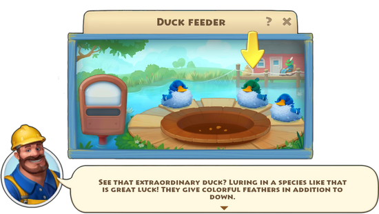 Duck Feeder Guide 2