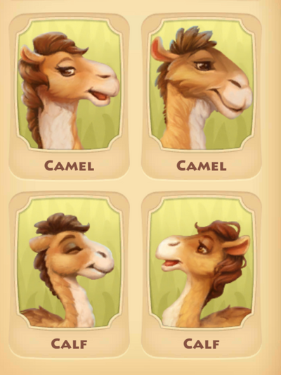 Camel Page