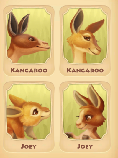 Kangaroo Page