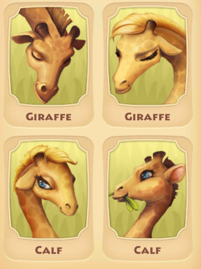 Giraffe Page