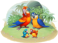 Macaw Page