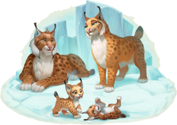 Lynx Family