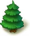 Fir Tree 110 16