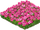 Field of Flowers.png