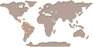 Toucan Map