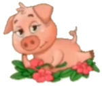 Flirty Pig