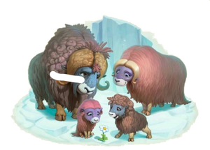 Muskox Family