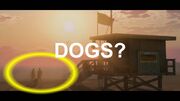 DOGS IN GTA