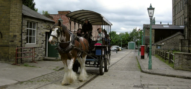 Dray horse and cart at the Museum.