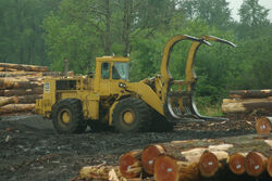 Cat 988 adapted for handling logs