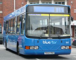 Bluestar 565