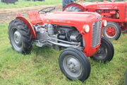 Massey Ferguson 35 (MF 835 DV) vineyard sn 26695 at Scammell Gathering 09 - IMG 9192