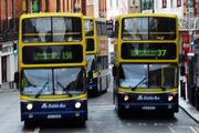 Dublin Bus buses