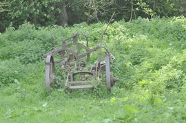 In field at SE 705853 beside footpath from Kirkby Mills, Kirkbymoorside, N. Yorks