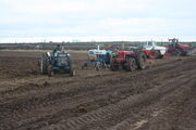 Tractor line at Bernard Saunders WD 08 - IMG 4167