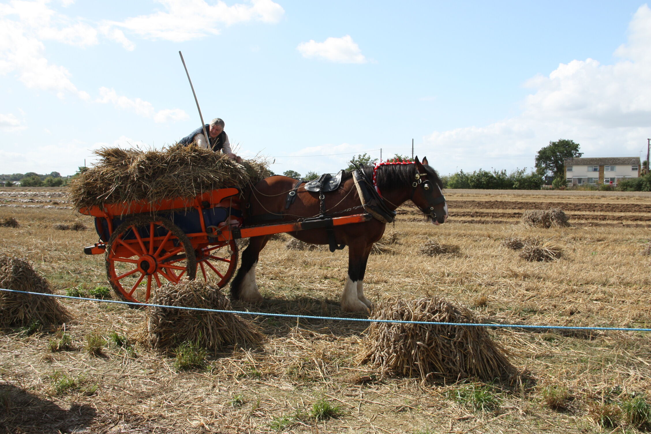 Horse and cart transport of harvest - barleylands 2011 -IMG 6220.jpg