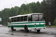 LAZ-699 in Tomsk
