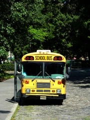 1998-2003 TC/2000 Front Engine