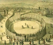 Trevithick's steam circus.