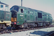 D6343, d7072 - old oak common - 1965