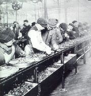 Ford assembly line - 1913